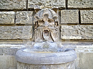 Mannheim Fountain photo
