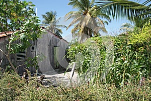 Mano Juan Village on the island of Saona Dominicana