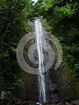 Manoa Falls hidden in jungle near Honolulu, Oahu, Hawaii photo