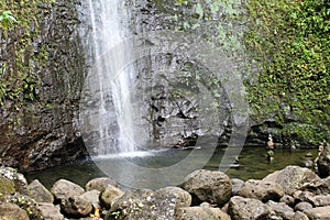 Manoa Falls Pool photo