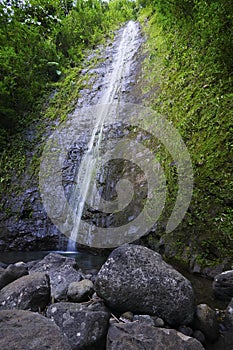 Manoa Falls & Pool, Oahu, Hawaiian Islands photo