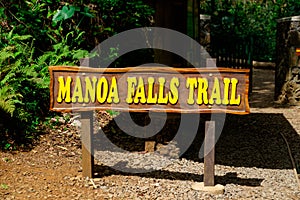 Manoa Falls Trail Hike Oahu Hawaii photo