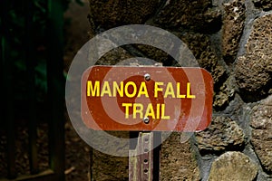 Manoa Falls Trail Hike Oahu Hawaii photo