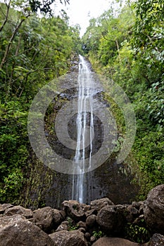 Manoa Falls Waterfall, Lyon Arboretum, Oahu, Hawaii, United States of America