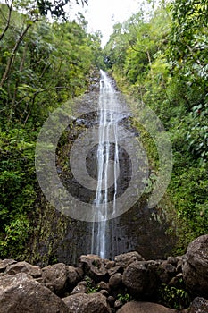 Manoa Falls Waterfall, Lyon Arboretum, Oahu, Hawaii, United States of America photo