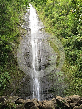 Manoa Waterfalls photo