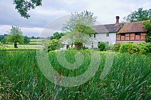 Manor house through the reeds