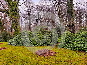 Manor Park in the city of IÅ‚owa, in western Poland.