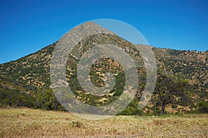 Manquehue in Spring