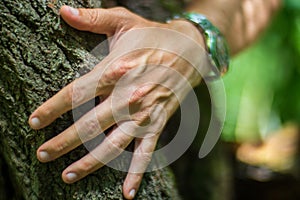 A mans hand touch the tree trunk close-up. Bark wood.Caring for the environment. The ecology concept of saving the