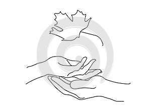 A mans palm hold a womans palm,into which a maple leaf falls.love concept.Fashionable modern minimalistic outline