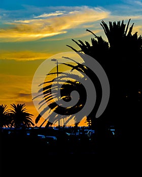 Mansa Beach Sunset Scene, Punta del Este, Uruguay