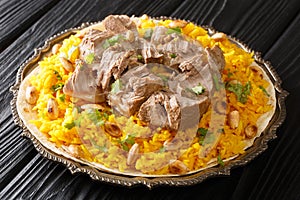 Mansaf a feast dish of lamb in yogurt sauce atop flatbread and a bed of rice, is known as the national dish of Jordan closeup in photo