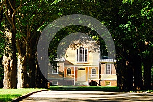 A mansion in the woods