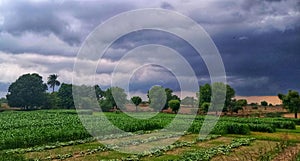 Mansoon cloud natural view in fields
