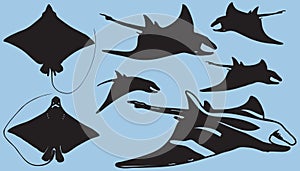 Manta ray, eagle rays fish silhouette