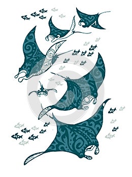 Manta ray and fish in the sea photo