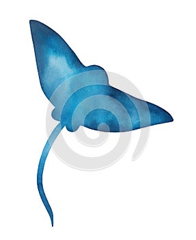 Manta Ray shape illustration. Symbol of freedom, beauty, elegance, peace, tranquility, wisdom.