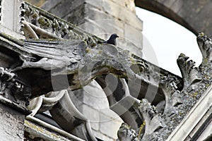 Mantes la Jolie; France - october 18 2016 : gothic Notre Dame collegiate church