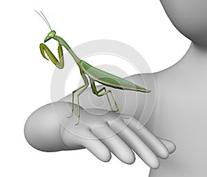 Mantis