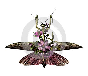 Mantis with open wings decorated with flowers and leaves symmetrically