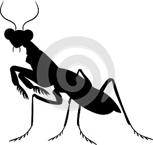 mantis vector silhouette black