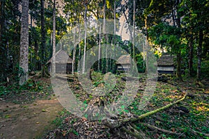 Manu National Park, Peru - August 07, 2017: Jungle lodges of Cocha Otorongo in the Amazon rainforest of Manu National Park, Peru