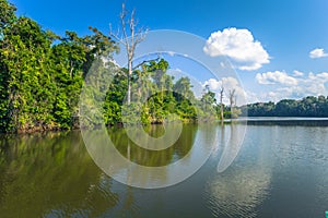 Manu National Park, Peru - August 07, 2017: Cocha Salvador in Ma photo