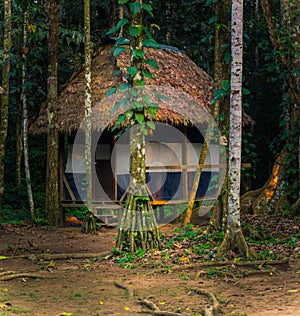 Manu National Park, Peru - August 08, 2017: Lodges of Cocha Otorongo in the Amazon rainforest of Manu National Park, Peru photo