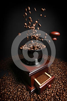 Manual coffee grinder