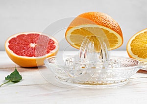 Manual Glass Citrus Juicer and Citrus Fruit