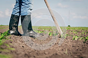 Manual labor in agriculture