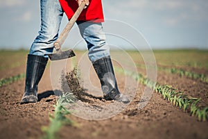 Manual labor in agriculture