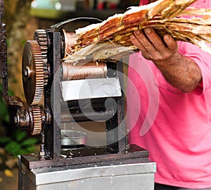 Manual mechanism for squeezing juice