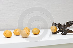 manual nut cracker for walnuts lies on the table.