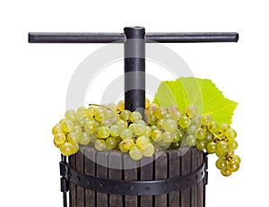 Manual pressing utensil filled with white grape