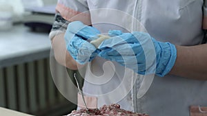 manual production of dumplings at a food factory from dough and minced meat