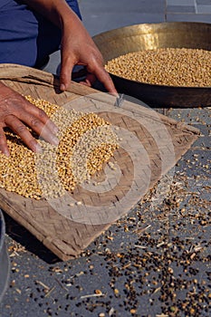 Manual pulse Grain or Soyabean Dal Cleaning: Using Stainer or Channi - Uttarakhand, India