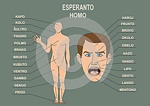 The manual for the study of the language Esperanto. The human body, a human head.