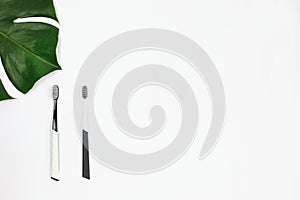 Manual toothbrush set and green leaf on white background