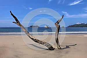 Manuel Antonio Beach, Costa Rica photo