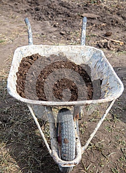 Manure in a cart in a vegetable garden