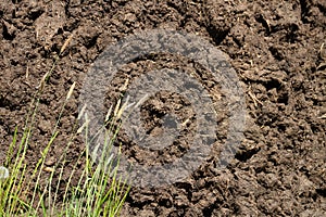 Manure in the countryside