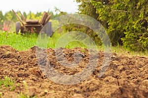 Manure from cows on an agricultural field, a pile of natural manure to fertilize the soil on the field