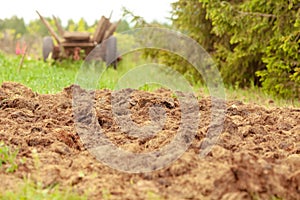 Manure from cows on an agricultural field, a pile of natural manure to fertilize the soil on the field