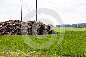 Manure for fertilizer