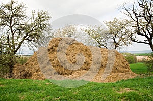 Manure Heap