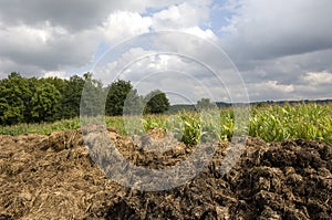 Manure heap