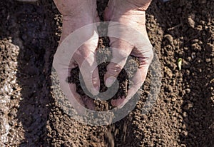 Manuring soil with hands after planted seeds photo