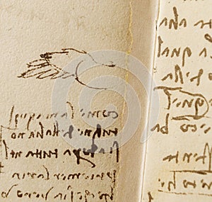 Manuscript, drawings, bird\'s wing by Leonardo Da Vinci in the old book The Codice Sul Volo, by E. Rouveyre , 1893 photo
